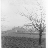 Neuleiningen